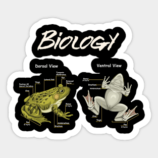 Biology Frog Anatomy Sticker